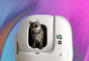 The 6 Best Automatic Litter Boxes (2025) Our Cats Would Recommend