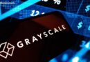 Grayscale Expands SUI Access With GSUI Charging Into Public Markets