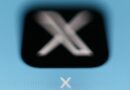 Elon Musk’s X rolls out feature that shows users’ country of origin – then suddenly removes it