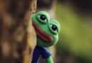 Investor Sues Pepe Meme Creator Over Role in North Korean NFT Hack