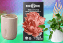 The 17 Best Gifts for Plant Lovers We’d Buy Ourselves (2025)