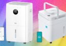 6 Best Dehumidifiers to Keep Your Home Mold-Free (2026)
