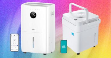 6 Best Dehumidifiers to Keep Your Home Mold-Free (2026)