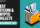 Top 10 Crypto Wallets for Q4 2025: Final Rankings Before 2026