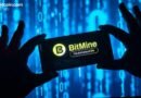 Bitmine Purchases 138,452 ETH as Holdings Rise to 3.86 Million ETH