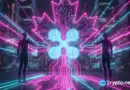 Canadian analysts project increased XRP adoption in fintech sector