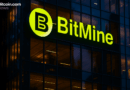 Bitmine ETH Holdings Near 4 Million as Stock Trades Close to mNAV Range