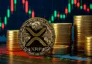 Spot XRP ETFs near $1B after 13-straight days of inflows