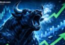 The Bull Case for XRP Rises as Flare Data Confirms Real DeFi Demand