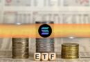 Analysts Warn Government Closure May Delay Solana ETF Approval