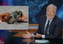 Jon Stewart goes on a brutal rant about Punch the monkey
