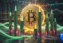 Bitcoin Prints 8 Green Candles in a Row – What’s Driving the Market Surge?