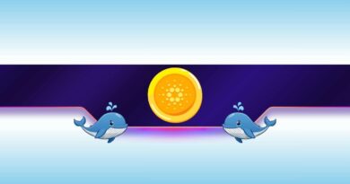 Do Cardano Whales Know Something We Don’t?