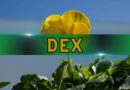 DEXs Hit All-Time High of $419 Billion Volume Despite Market Corrections: CoinGecko