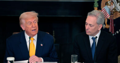 David Sacks is done as AI czar — here’s what he’s doing instead