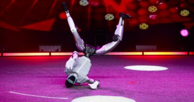 Employees had to restrain a dancing humanoid robot after it went wild at a California restaurant