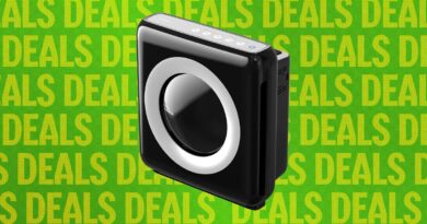 Our Favorite Affordable Air Purifier Is Temporarily Even Cheaper