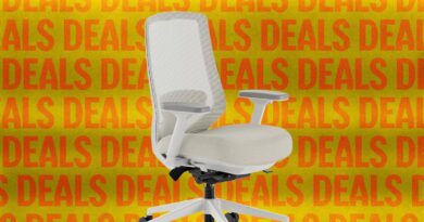 The Best Office Chair Is $50 Cheaper Than We’ve Seen Before