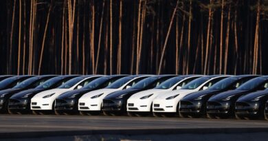 The Tesla Influencers Leaving the ‘Cult’