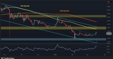 What’s Next for XRP After Reclaiming Key Resistance?