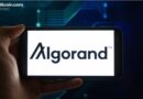 Algorand Cuts Workforce as SEC Labels ALGO a Commodity