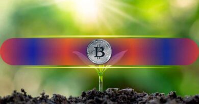 5 Key On-Chain Signals to Watch With Bitcoin at Fair Value