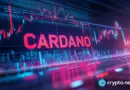 Cardano tests $0.25 again as analysts eye 200% ADA rally