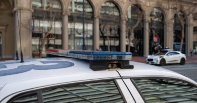 TechCrunch Mobility: When a robotaxi has to call 911