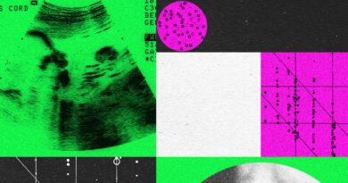 Designer Baby Companies Are in Turmoil