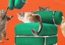 Ikea’s New Blow-Up Chair Was Tested by Cats