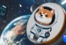 What Is Asteroid Shiba (ASTEROID)? The SpaceX Mascot Story Behind Crypto’s Wildest Rally This Week