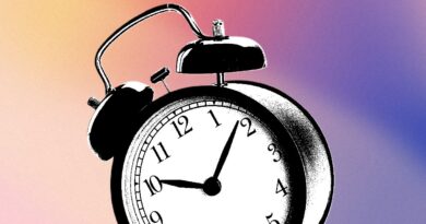 Best Apps for Focus (2026): Focus Friend, Forest, Focus Traveller