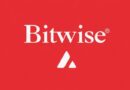 Bitwise CIO makes the case for new AVAX ETF launch