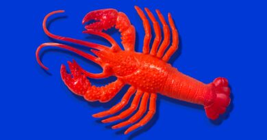 Anthropic says Claude Code subscribers will need to pay extra for OpenClaw usage