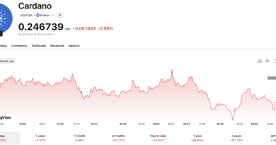 Cardano News: NFT Marketplace Shutdown Raises Big Questions About Ecosystem Growth