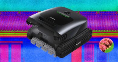 The Best Robotic Pool Cleaners of 2026: Beatbot, iGarden, Dreame