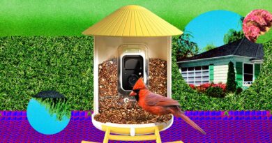 The Smart Bird Feeders Everyone’s Talking About (and Actually Buying) (2026)