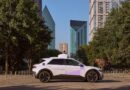 A self-driving car in Texas hit and killed a mother duck, sparking neighborhood outrage