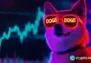 Buy DOGEBALL before 2nd May as one of the leading crypto presales to buy in 2026 nears close