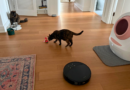 Best vacuums for pet owners in 2026: Cordless and robot vacuums tested at home