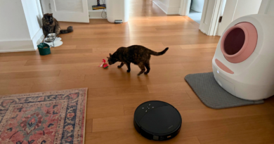 Best vacuums for pet owners in 2026: Cordless and robot vacuums tested at home