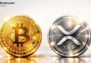 Ripple’s Schwartz Says He’d Pick XRP or BTC Over USD for Locked Funds – Featured Bitcoin News