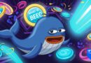 What Is BEEG? The Viral Sui Meme Coin Everyone Is Searching