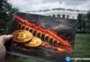 Bitcoin drops out of global top 10 as Magnificent Seven surge