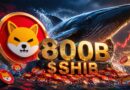 Shiba Inu Whale Moves 800B SHIB, Sparks Market Focus Shift