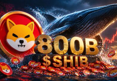Shiba Inu Whale Moves 800B SHIB, Sparks Market Focus Shift