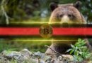 Why Bitcoin Is Falling Behind Record-Breaking Stocks