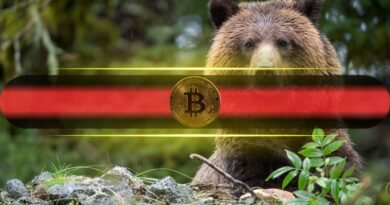 Why Bitcoin Is Falling Behind Record-Breaking Stocks