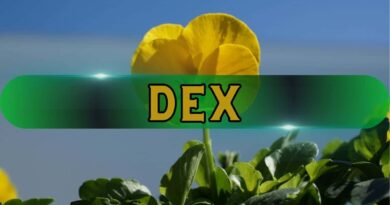 DEXs Hit All-Time High of $419 Billion Volume Despite Market Corrections: CoinGecko