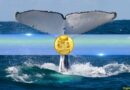 Dogecoin (DOGE) Whales Quietly Accumulate as Holdings Hit Record Levels